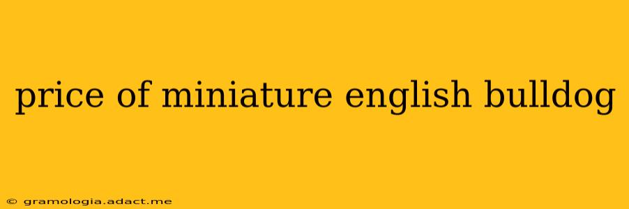 price of miniature english bulldog