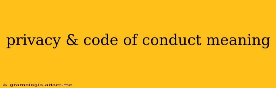 privacy & code of conduct meaning
