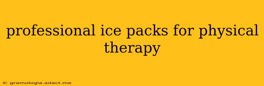 professional ice packs for physical therapy