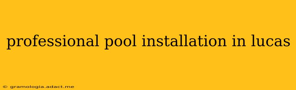 professional pool installation in lucas