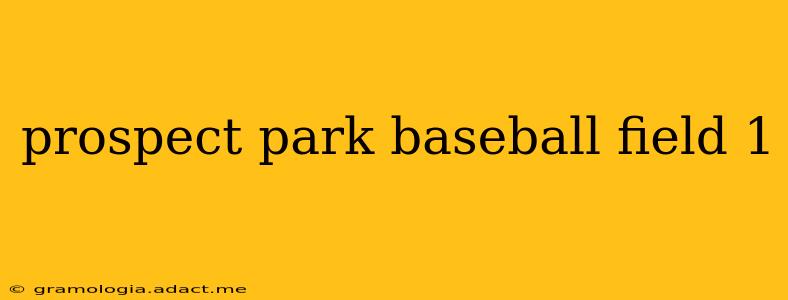 prospect park baseball field 1