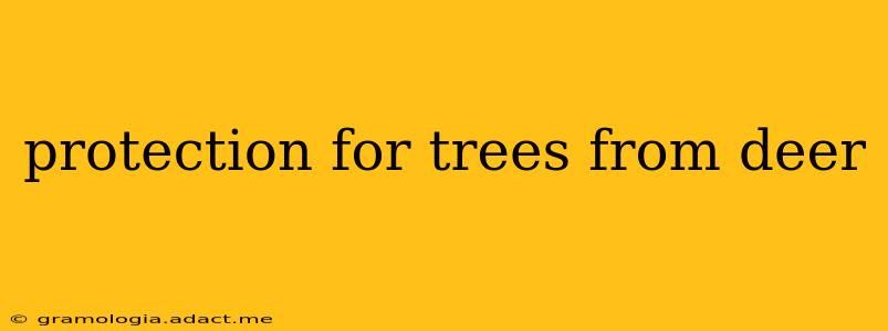 protection for trees from deer