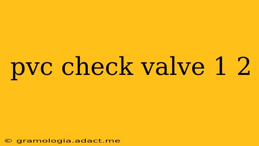 pvc check valve 1 2