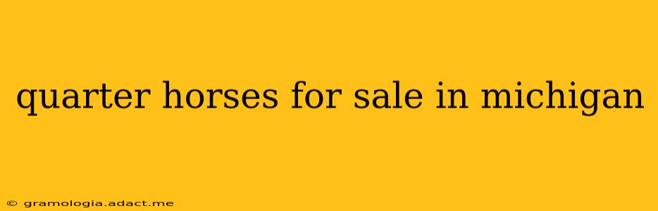 quarter horses for sale in michigan