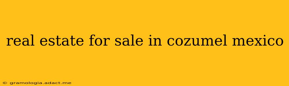 real estate for sale in cozumel mexico