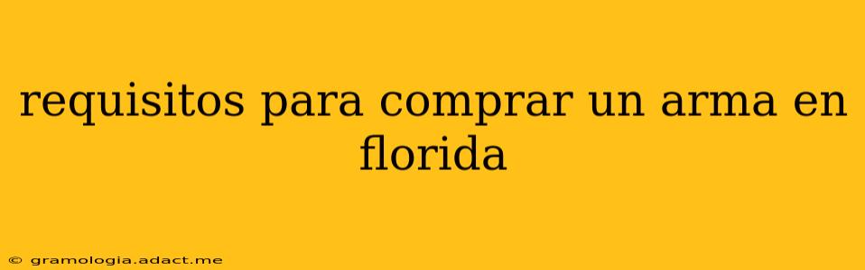 requisitos para comprar un arma en florida