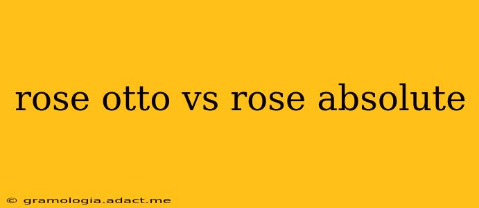 rose otto vs rose absolute