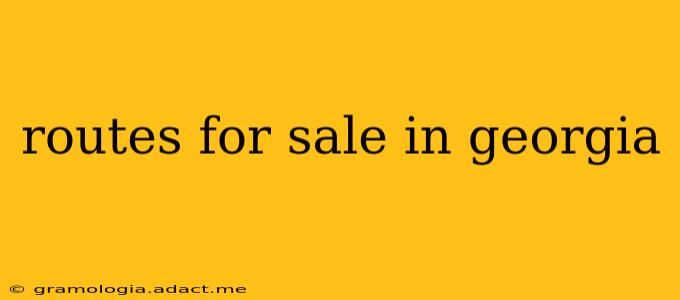 routes for sale in georgia