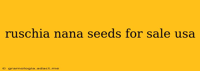 ruschia nana seeds for sale usa
