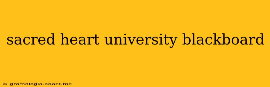 sacred heart university blackboard