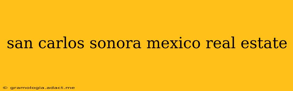 san carlos sonora mexico real estate