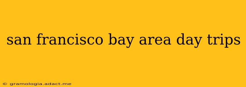 san francisco bay area day trips