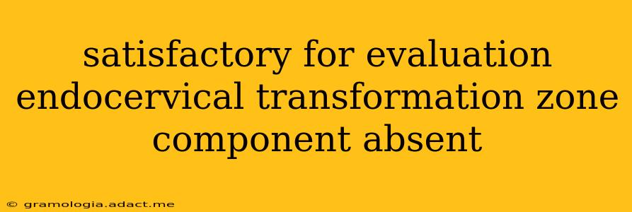 satisfactory for evaluation endocervical transformation zone component absent
