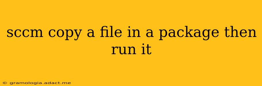 sccm copy a file in a package then run it