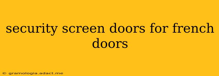 security screen doors for french doors