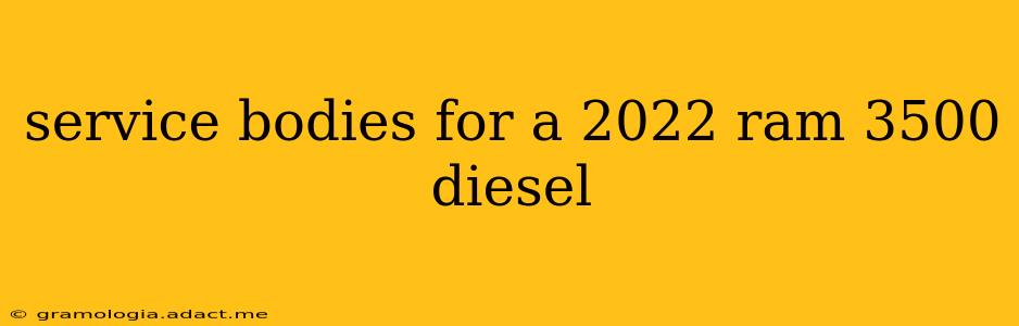 service bodies for a 2022 ram 3500 diesel