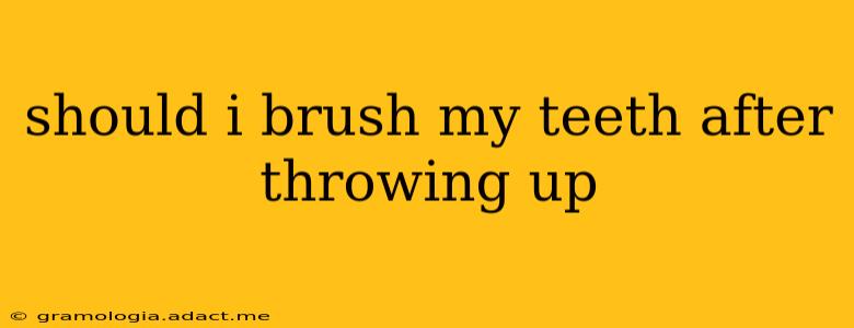 should i brush my teeth after throwing up