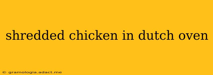 shredded chicken in dutch oven