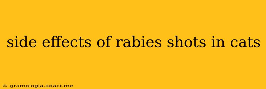 side effects of rabies shots in cats