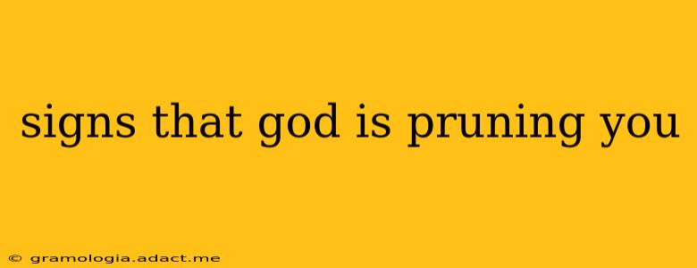 signs that god is pruning you