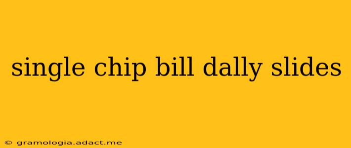 single chip bill dally slides