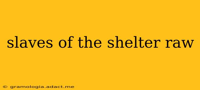 slaves of the shelter raw slaves of the shelter raw