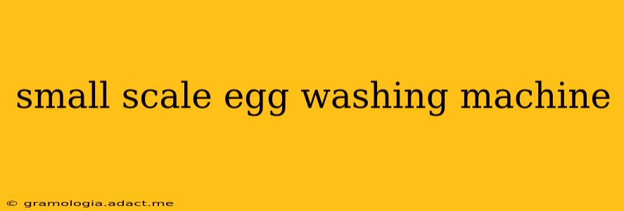small scale egg washing machine