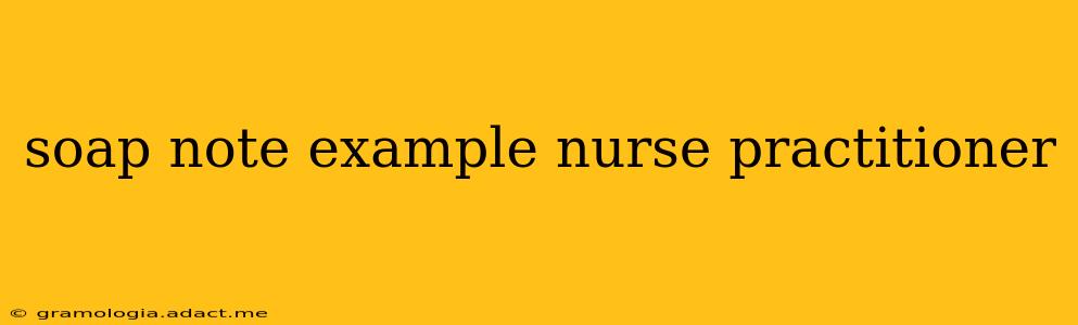 soap note example nurse practitioner
