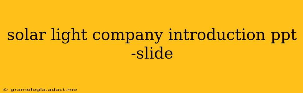 solar light company introduction ppt -slide