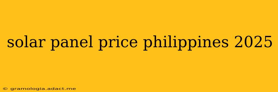 solar panel price philippines 2025