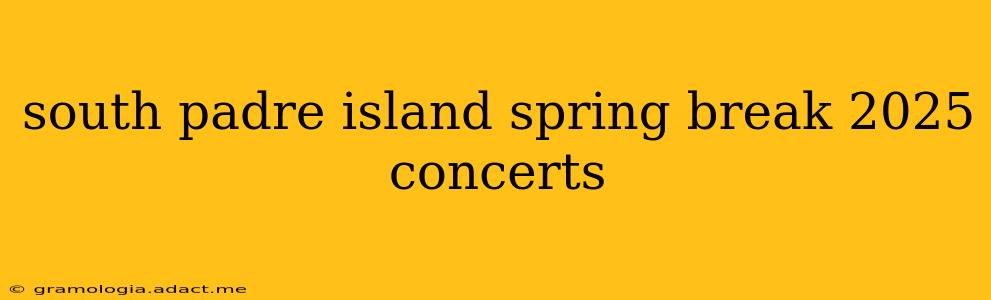 south padre island spring break 2025 concerts