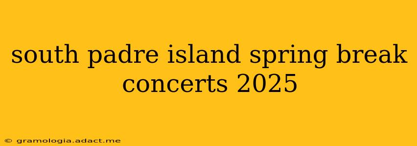 south padre island spring break concerts 2025