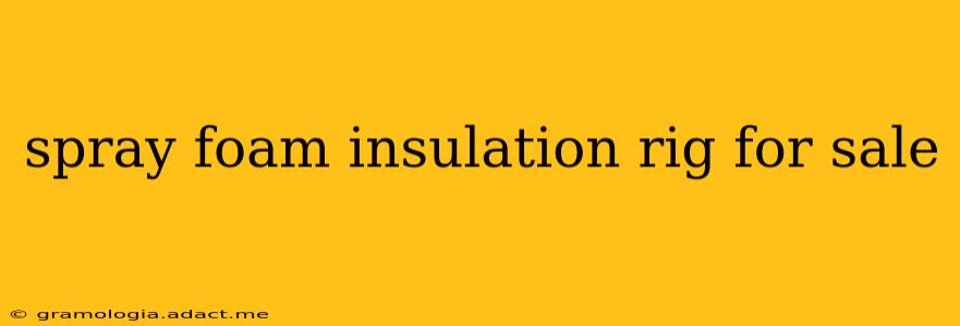 spray foam insulation rig for sale