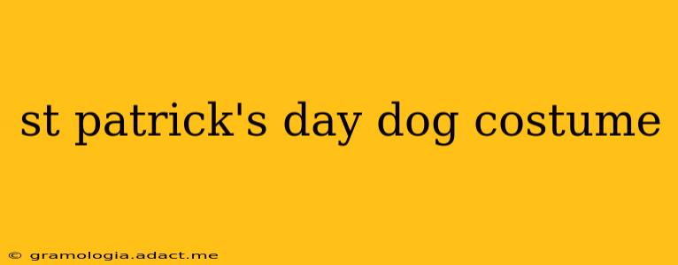 st patrick's day dog costume
