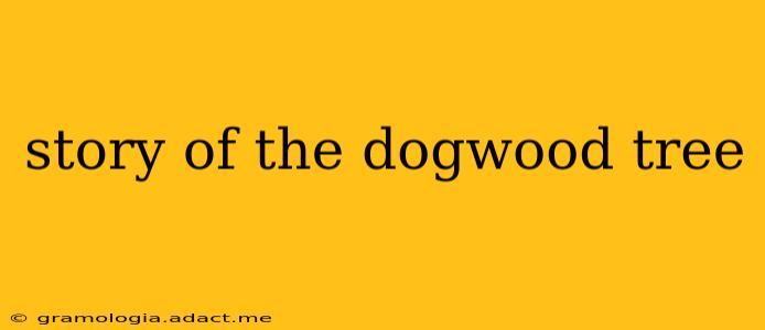 story of the dogwood tree