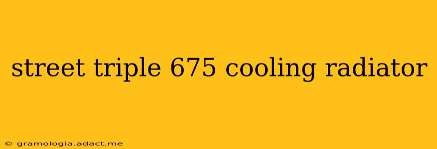 street triple 675 cooling radiator