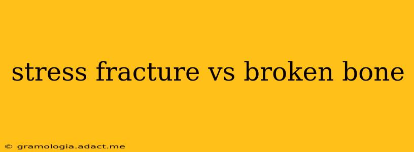 stress fracture vs broken bone