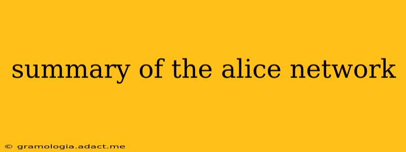summary of the alice network