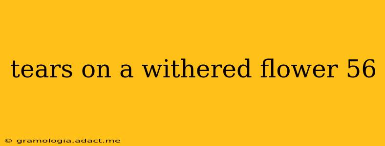 tears on a withered flower 56