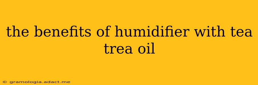 the benefits of humidifier with tea trea oil