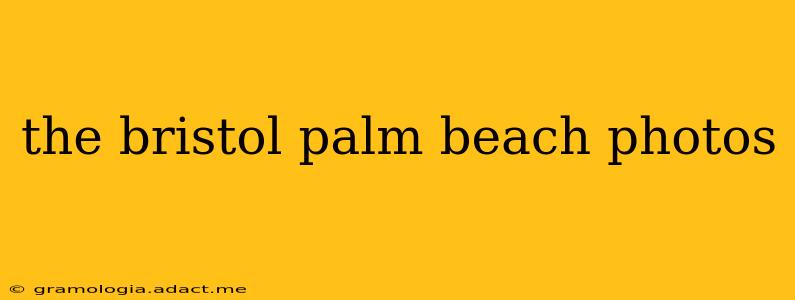 the bristol palm beach photos