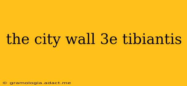 the city wall 3e tibiantis
