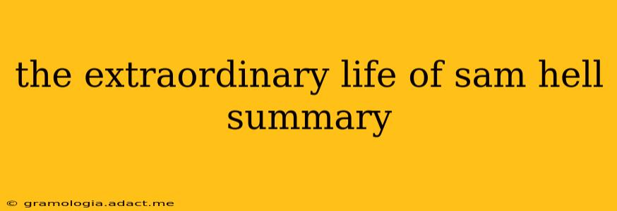 the extraordinary life of sam hell summary