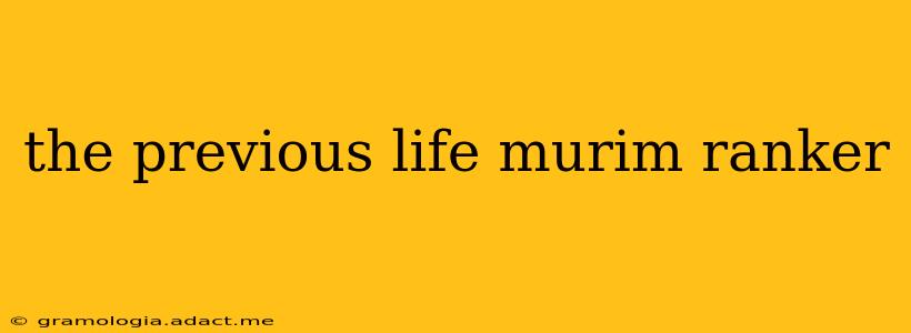 the previous life murim ranker