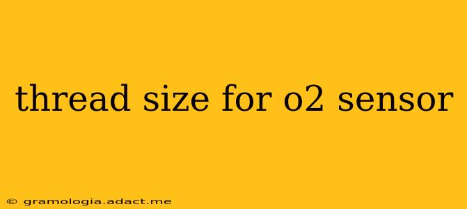 thread size for o2 sensor