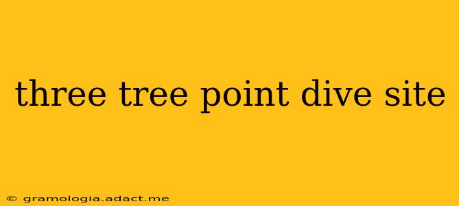 three tree point dive site