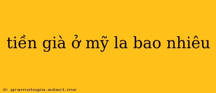 tiền già ở mỹ la bao nhiêu