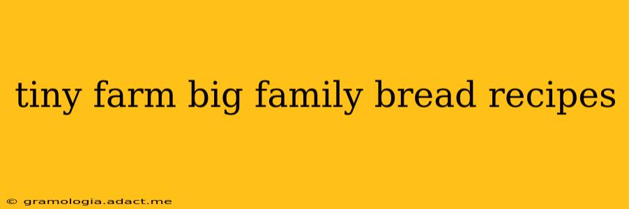 tiny farm big family bread recipes