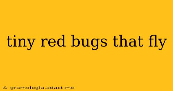 tiny red bugs that fly