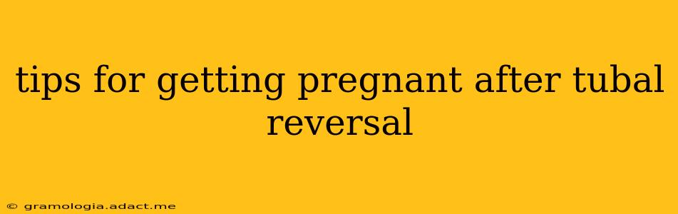 tips for getting pregnant after tubal reversal